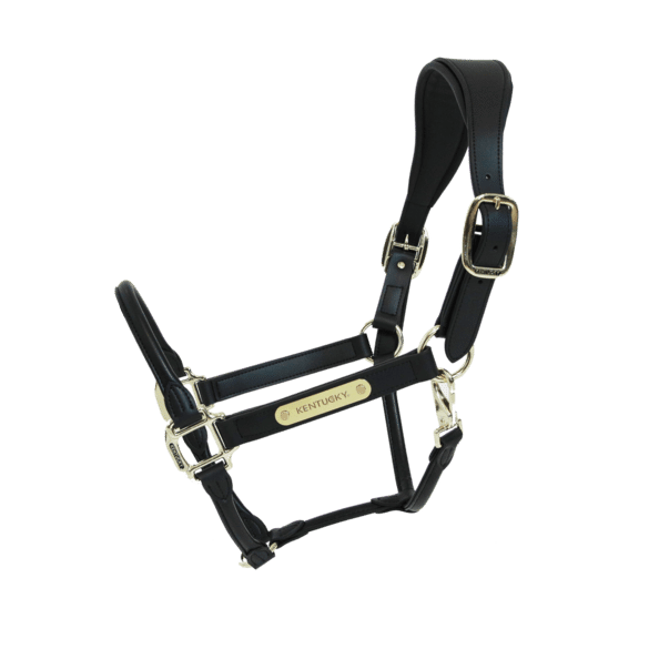 cabezada cuero negra kentucky