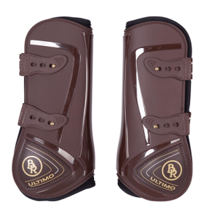 protectores BR ultimo