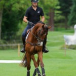 Protectores traseros Solimbra KENTUCKY