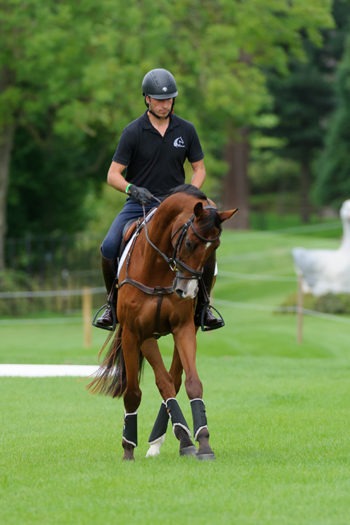 Protectores traseros Solimbra KENTUCKY - Imagen 3