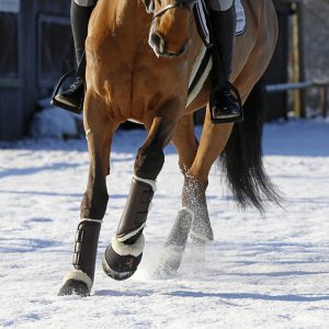 protectores cuero kentucky