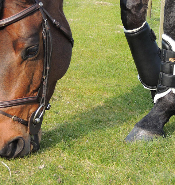 protectores borreguillo