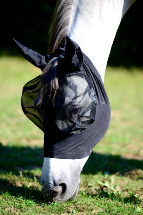 mascara antimoscas kentucky