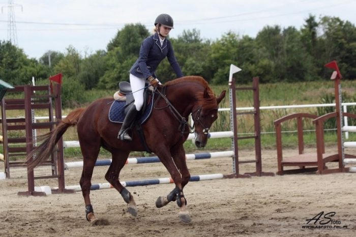 Chaqueta de Concurso FAIR PLAY Evita Pro - Imagen 3