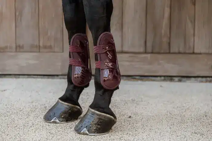 protectores bamboo kentucky