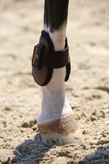 Protectores de Air Fetlock traseros KENTUCKY - Imagen 5