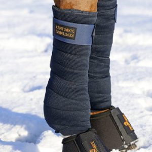 campanas kentucky solimbra