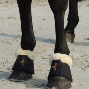 Campanas borreguillo Solimbra KENTUCKY