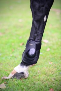 Protectores Deep Fetlock traseros KENTUCKY - Imagen 2