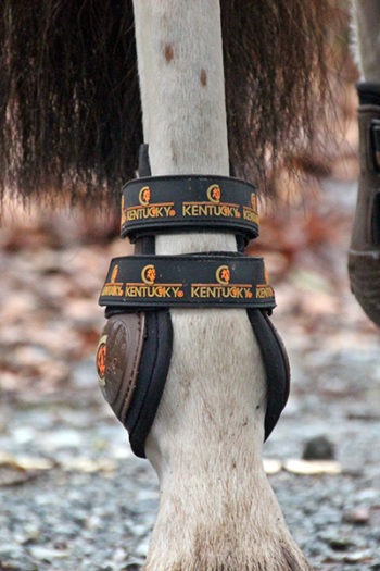 Protectores KENTUCKY traseros Moonboots Max