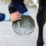 Cinta Protectora KENTUCKY