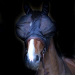 mascara kentucky anti moscas