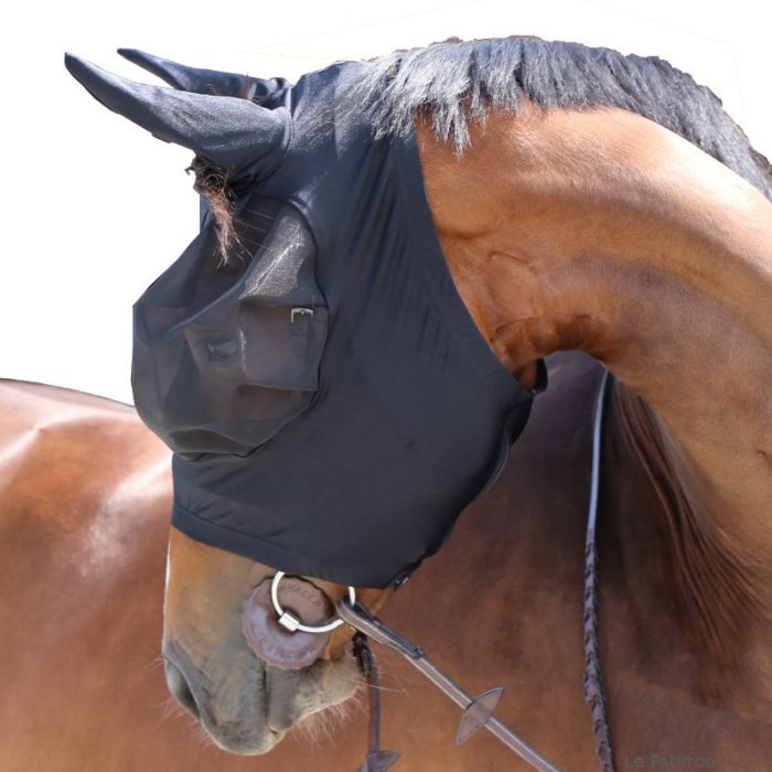 mascara antimoscas kentucky