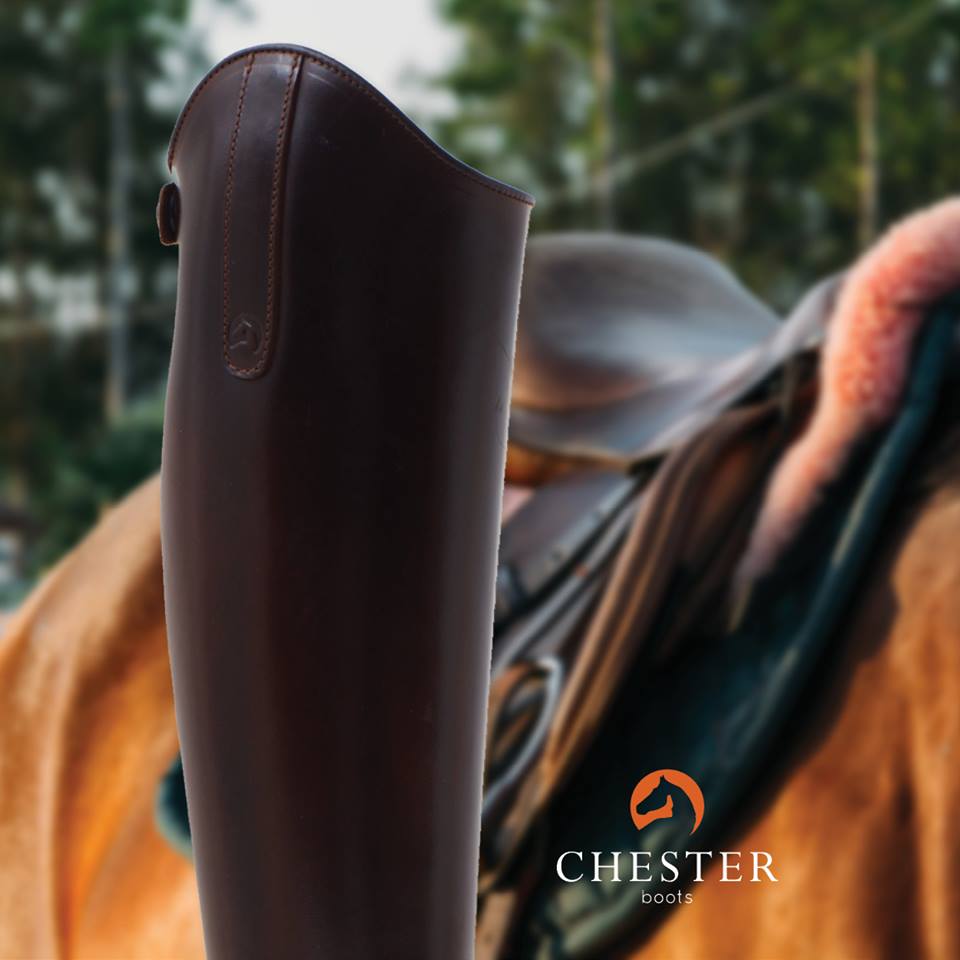 Botas Chester Dressage Pro - Imagen 4