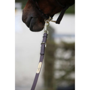 Ramal presentation lead KENTUCKY