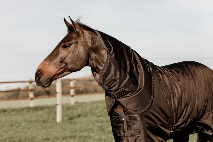 manta de lluvia 160 gramos kentucky