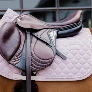 mantilla kentucky salto onion