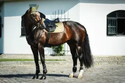 mantilla equito olive