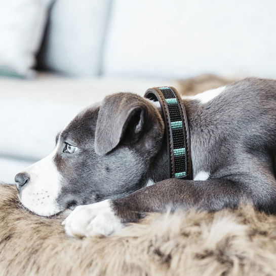 Collar Perlas Kentucky ( Hecho a Mano ) - Imagen 3