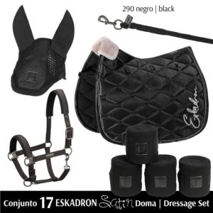 conjunto eskadron saten