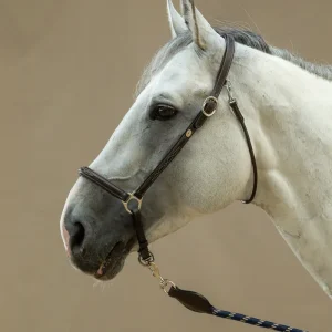 Cabezada aseo  Dy´on