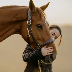 Cabezada Cuero  Dy´on