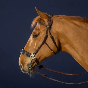 Cabezada Dy'on Hackamore