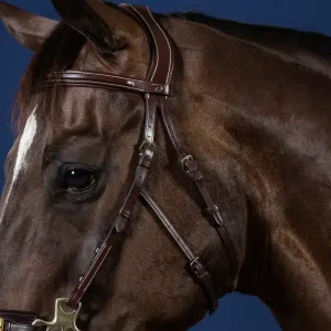 Cabezada Dy'on Hackamore