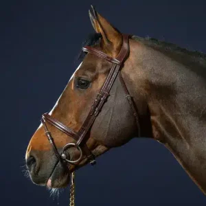 Cabezada Dy'on con Muserola Flash