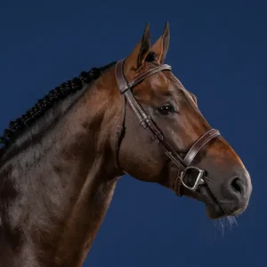 Cabezada Dy'on con Muserola Cavesson Hunter