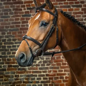 Cabezada Dy'on con Muserola Flash