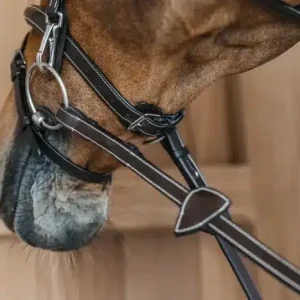 Cabezada Dy'on con Muserola Flash y Carrilleras a Presion