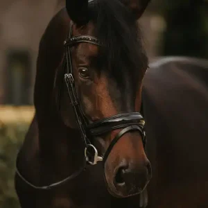 Cabezada Dy'on con Muserola de Manivela Grande