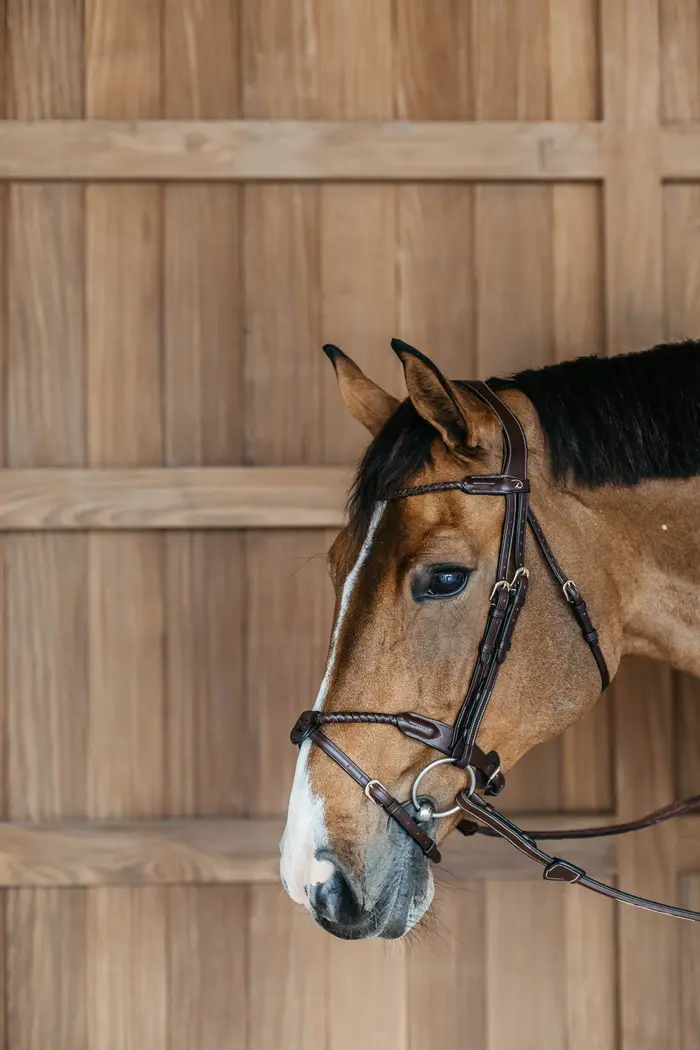 Cabezada Dy'on con Muserola Trenzada Flash - Imagen 4