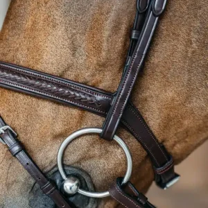 Cabezada Dy'on con Muserola Trenzada Flash