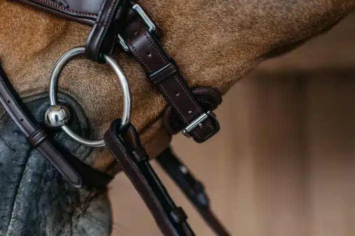 Cabezada Dy'on con Muserola Trenzada Flash y Tirador