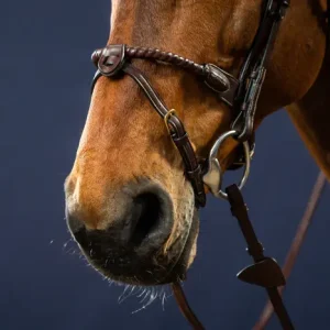 Cabezada Dy'on con Muserola de Cuerda Recubierto de cuero