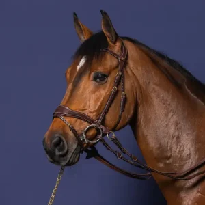 Cabezada Dy'on De Movimiento