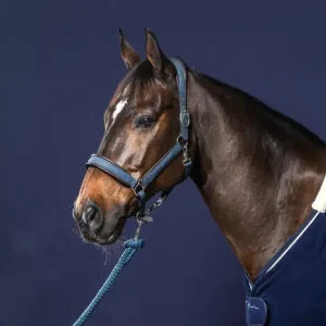 Cabezada Nobuk  Dy´on