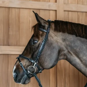 Cabezada Dy'on de Entrenamiento Trenzada