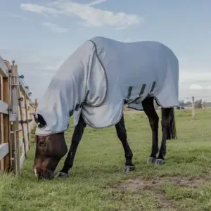 manta eccema kentucky