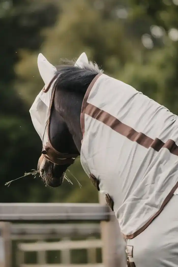 manta kentucky mosquitos classic