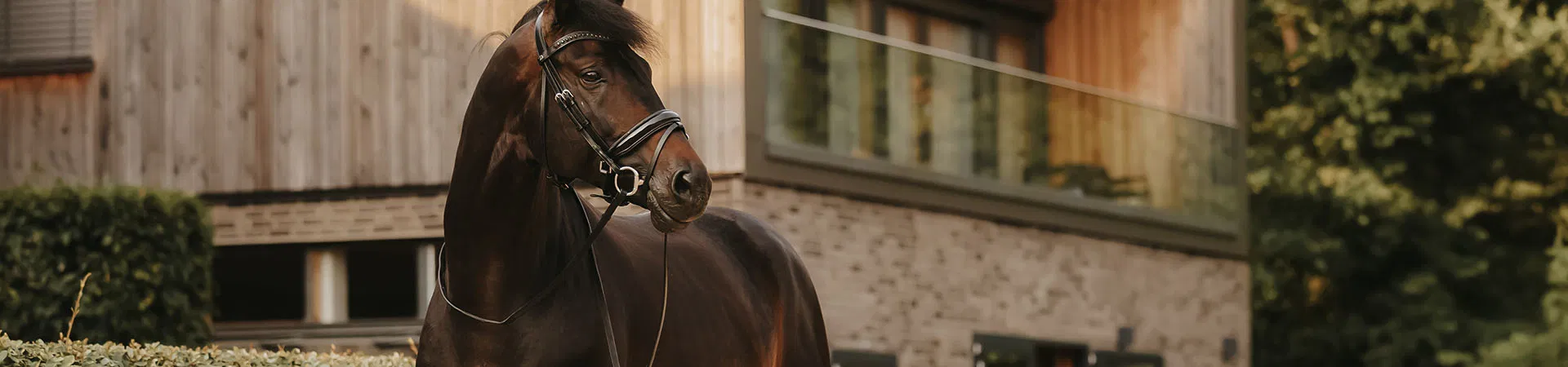 Dyon_Headerbild-2-Desktop_1920x450px37Ve7zgUfnMQk Dyon