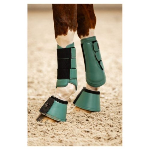 protectores br CLX majestic