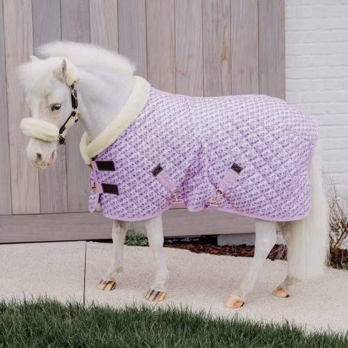 Manta concurso KENTUCKY  Sammy