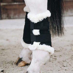 protectores kentucky