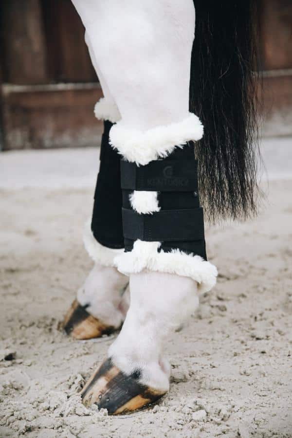 protectores kentucky