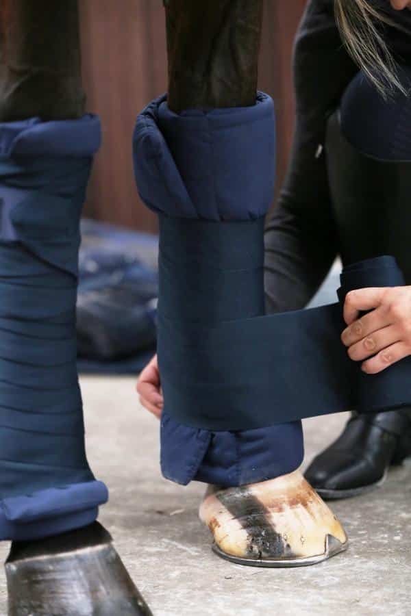 Paños descanso Kentucky - Imagen 2