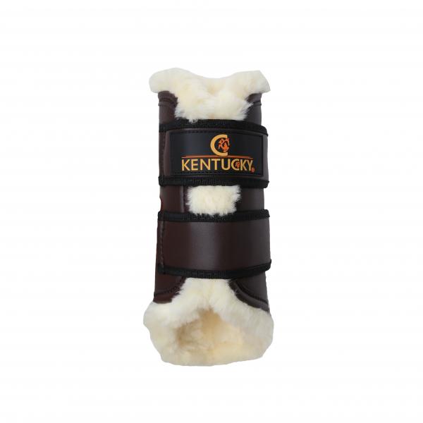 protectores kentucky