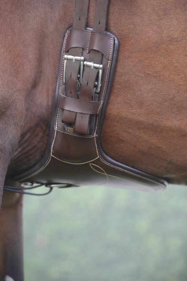 Cincha Corta Stud Kentucky - Imagen 2